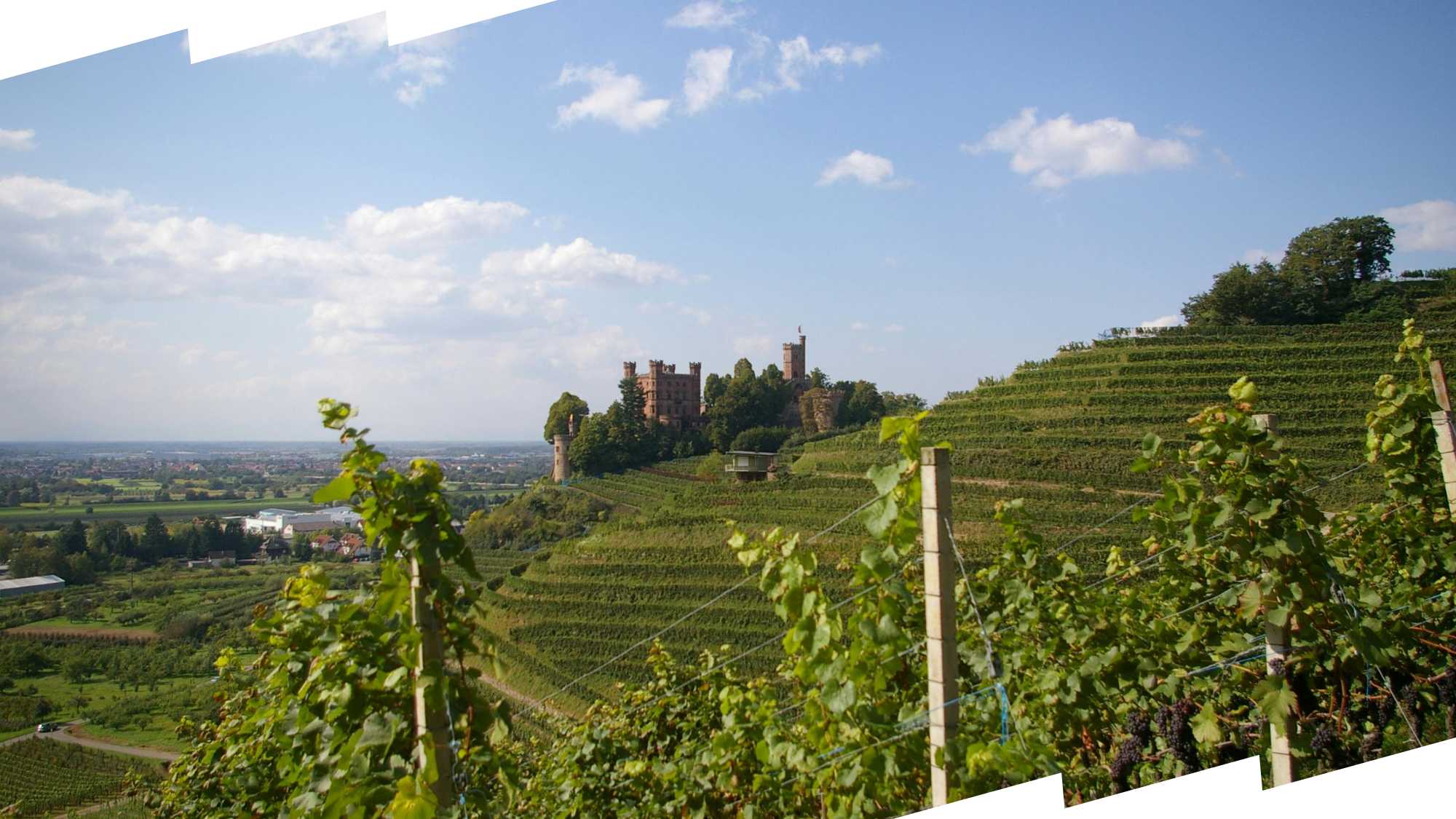 Giornata mondiale della montagna: tra crisi climatica e ritardi strutturali l’appello di AIC per non lasciarla indietro